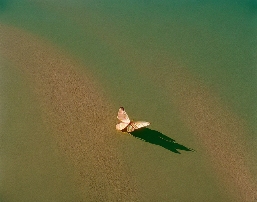 Small Boat Casting Sharp Shadow in Shallow Green Water