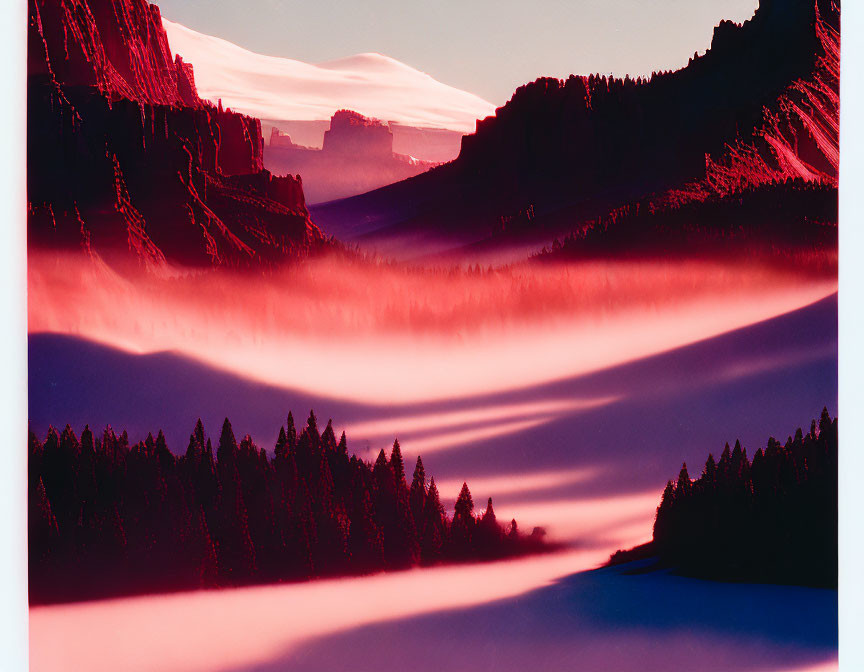 Misty mountain valleys at sunrise or sunset with silhouetted pine trees in vibrant pink and orange