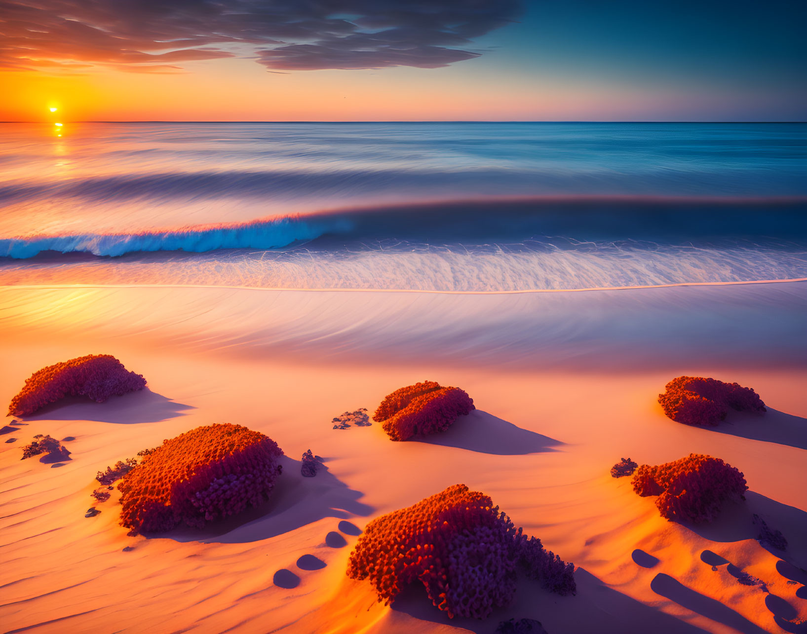 Tranquil Beach Scene: Golden Sunset, Gentle Waves, Seaweed Clusters