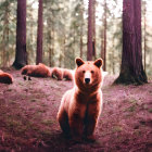 Brown Bear Surrounded by Forest Trees and Ferns