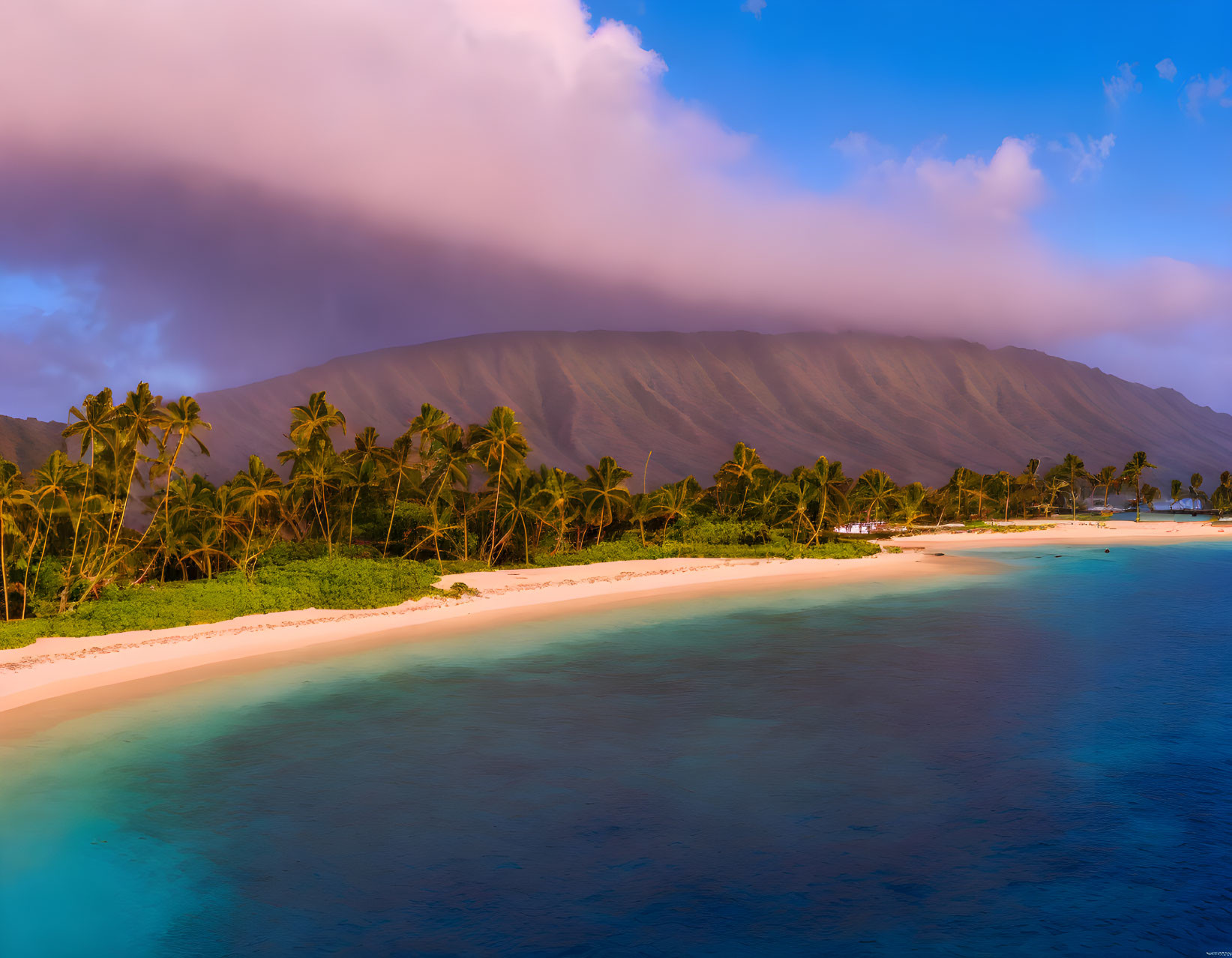 Scenic tropical beach with palm trees, golden sand, and mountain backdrop at sunset