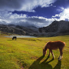 Vibrant meadow scene with grazing horses and snow-capped mountains