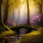 Forest Scene: Sunlight, Stone Bridge, Purple Foliage