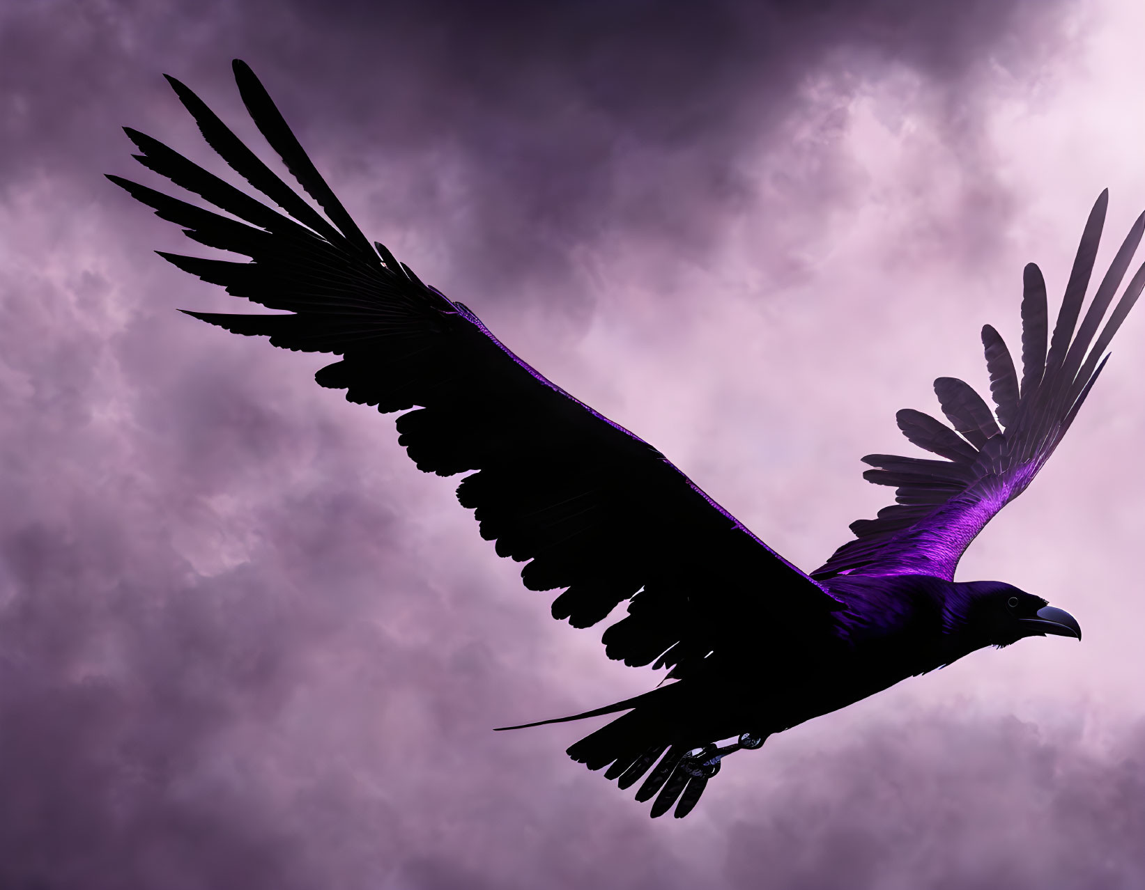 Large Bird Silhouetted Against Purple Sky with Textured Clouds