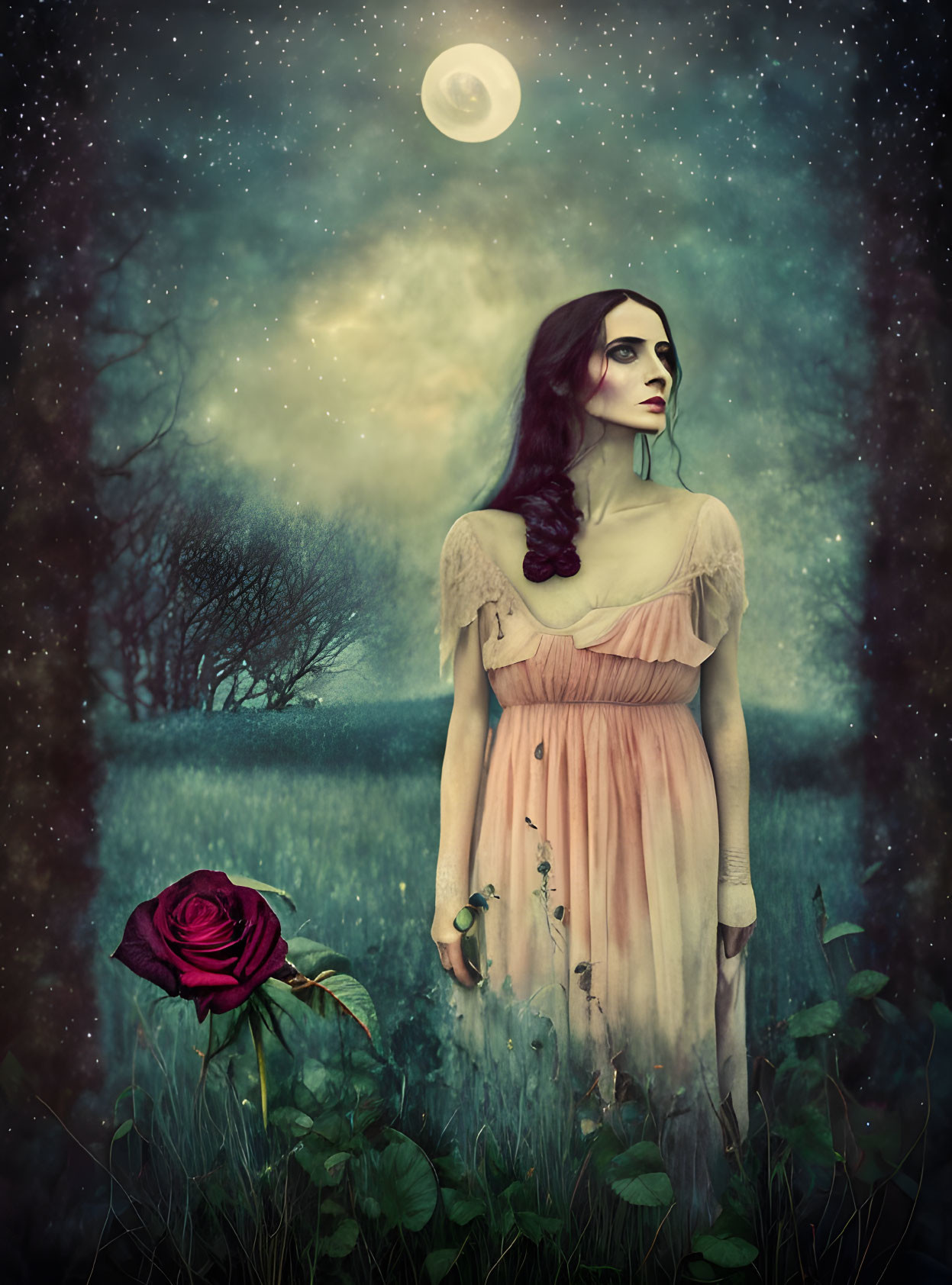 Vintage dress woman in mystical field with dark rose under full moon