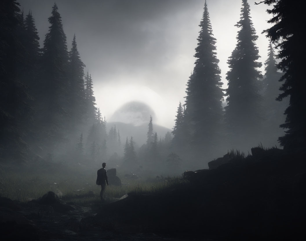 Misty forest scene with solitary figure and tall pine trees