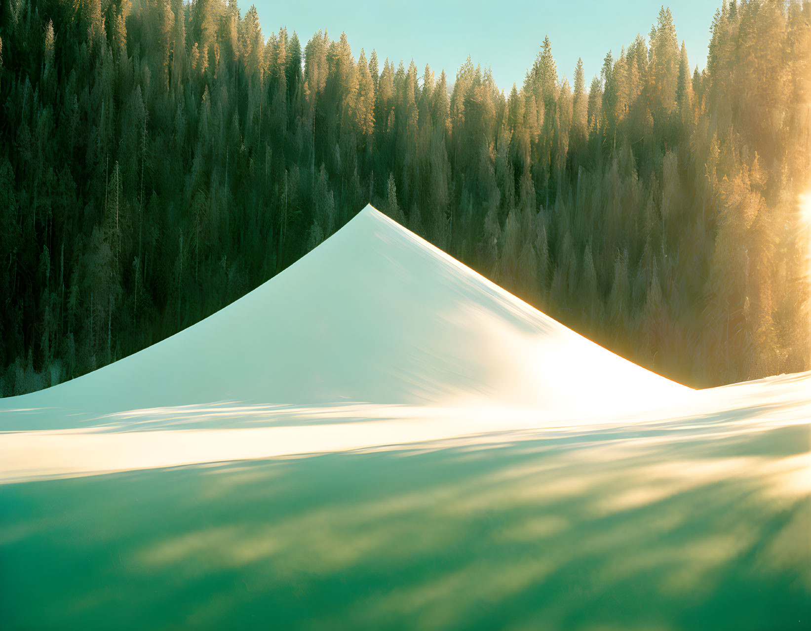 Snow-covered hill with coniferous forest under warm sunlight