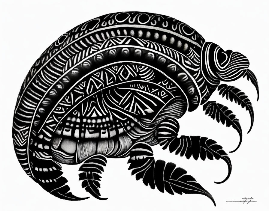 Detailed Stylized Armadillo Line Art with Decorative Patterns