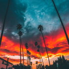 Starry Night Sky Over Sunset Desert with Horse-Drawn Carriage