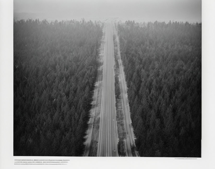 Straight Highway Through Dense Forest with Vehicles - Aerial View