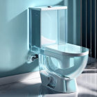 Modern Transparent Toilet with White Base in Natural Light on Teal Wall