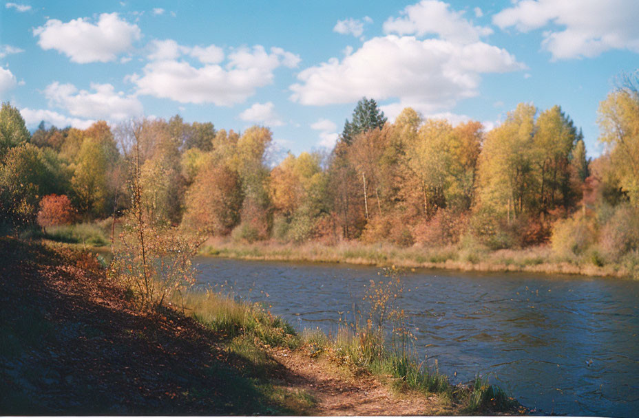 Tranquil river with autumn forest and cloudy sky