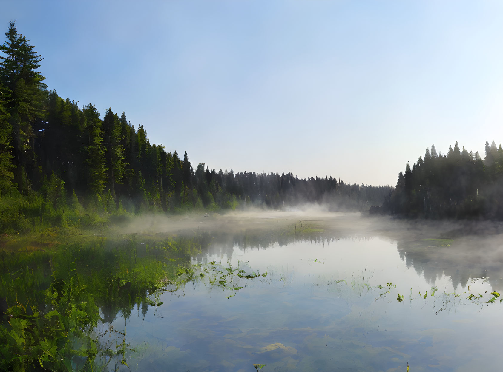 Tranquil lake in misty morning forest scene