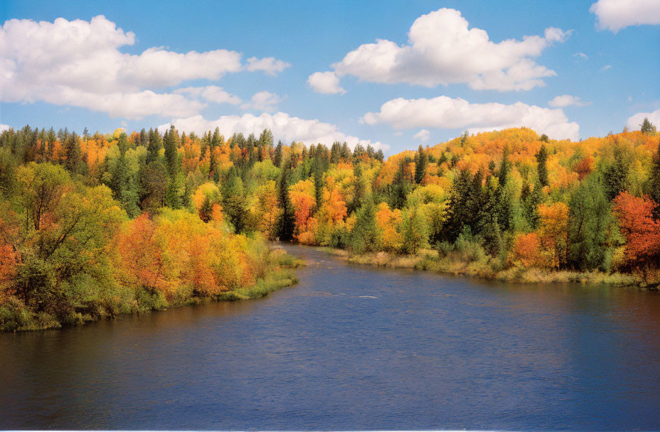 Tranquil river in vibrant autumn forest with colorful trees under partly cloudy sky