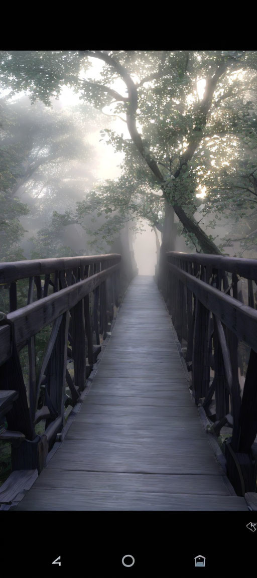 Serene wooden bridge in misty woods with sunlight filtering through foliage