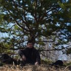 Fluffy Dog with Two Puppies on Rocky Terrain surrounded by Coniferous Trees