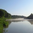 Tranquil lake in misty morning forest scene