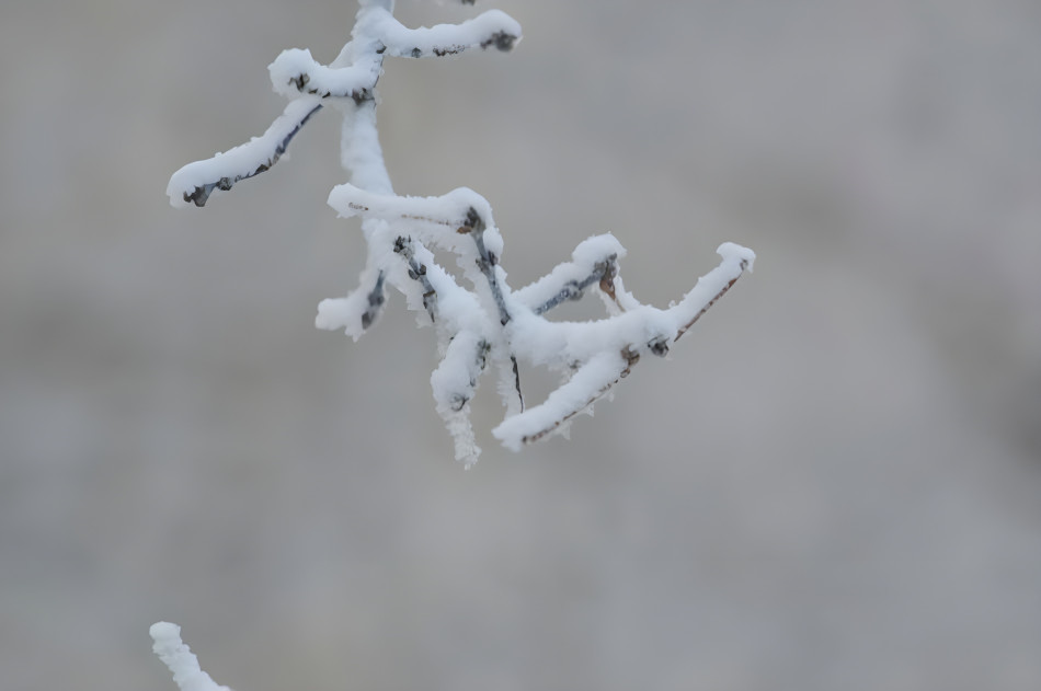 Hoarfrost