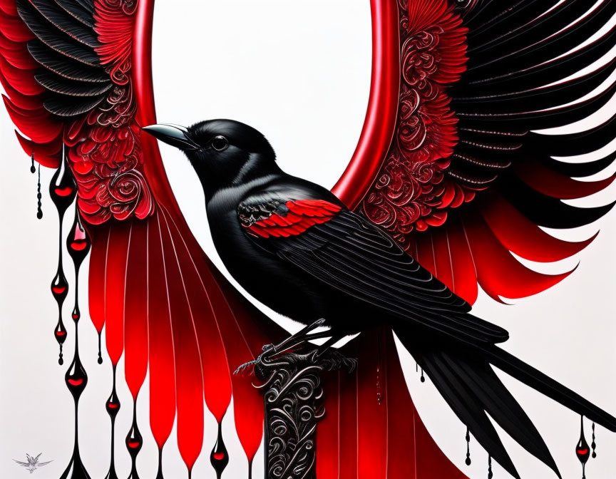 Stylized black bird illustration with red and black feathers on gradient background