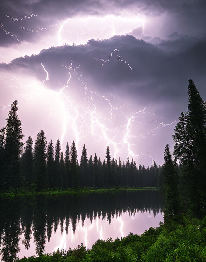 Thunderstorm Lightning Bolts Over Serene Lake & Pine Trees