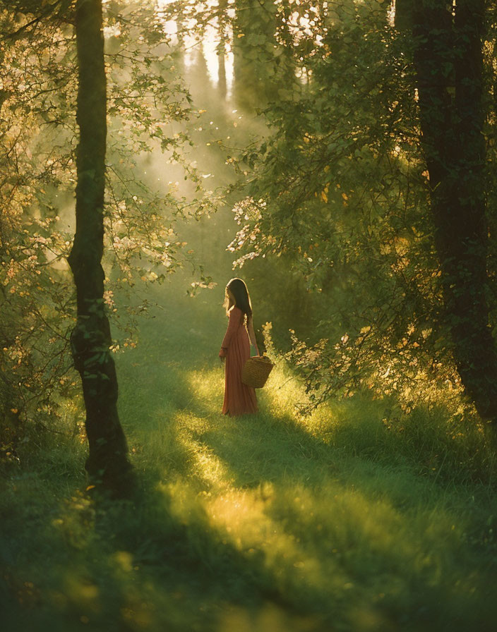 Person in Red Dress Holding Basket in Sunlit Forest Clearing