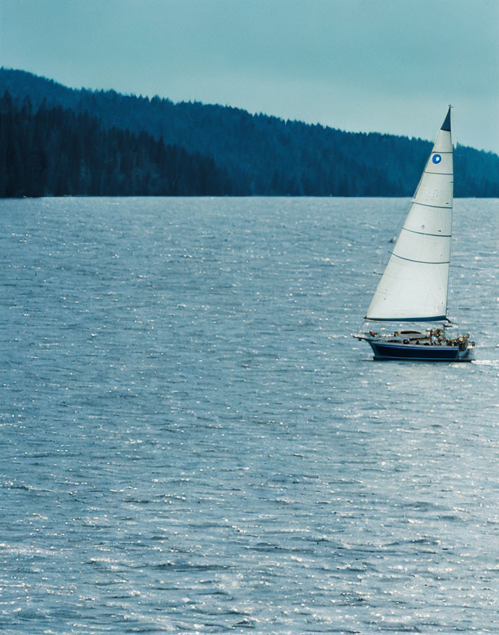 White sailboat on shimmering lake with dense forest and overcast skies