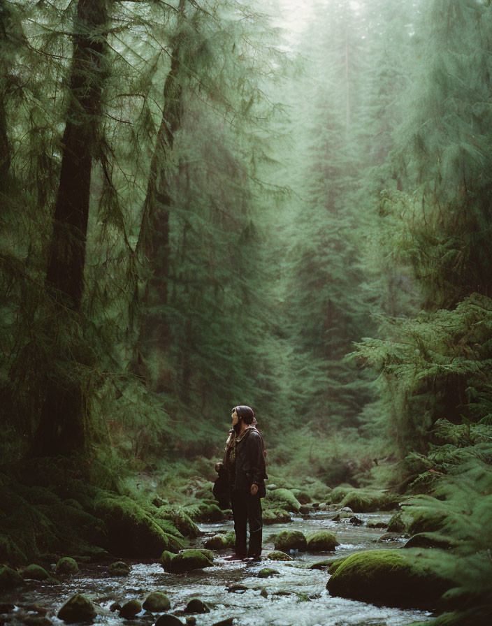 Tranquil forest stream scene with person surrounded by tall trees