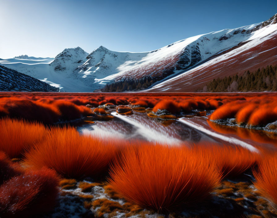 Scenic landscape with orange grass, water, mountains, and sky