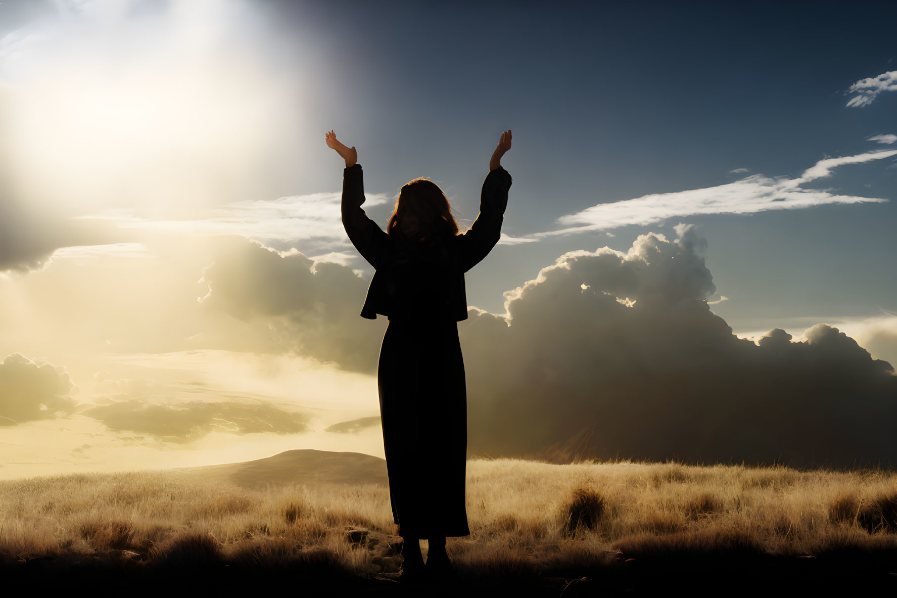 Silhouette of person with raised arms at sunset over wild grassy landscape