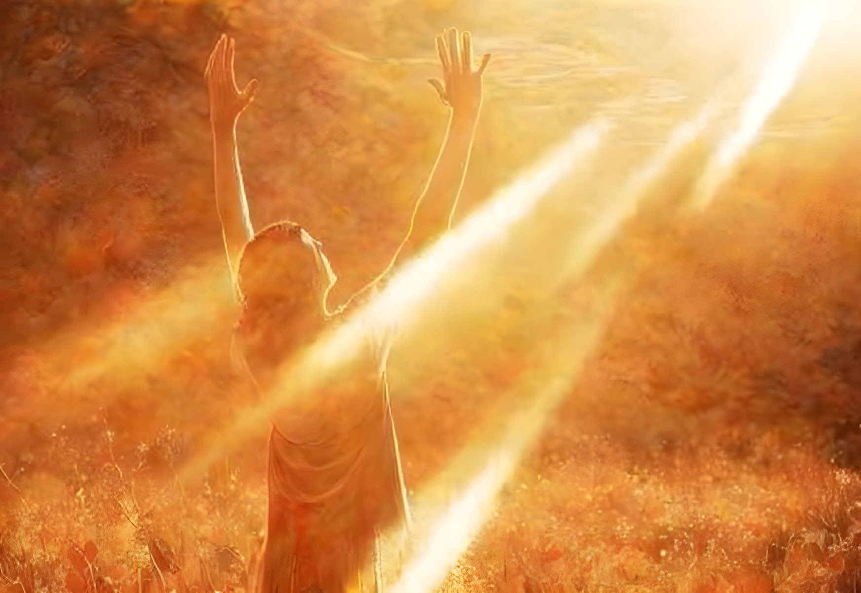 Person with raised arms in warm sunlight in golden forest