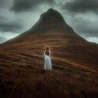 Solitary figure in red cloak amid blue flowers and mountain peaks