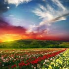 Colorful countryside painting: flower fields, green hills, small houses, dramatic sunset sky