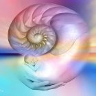 Colorful digital artwork: Swirling rainbow shell on pastel horizon