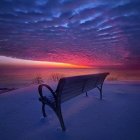 Winter Twilight Scene: Park Bench, Snow, Bare Trees, Colorful Sky