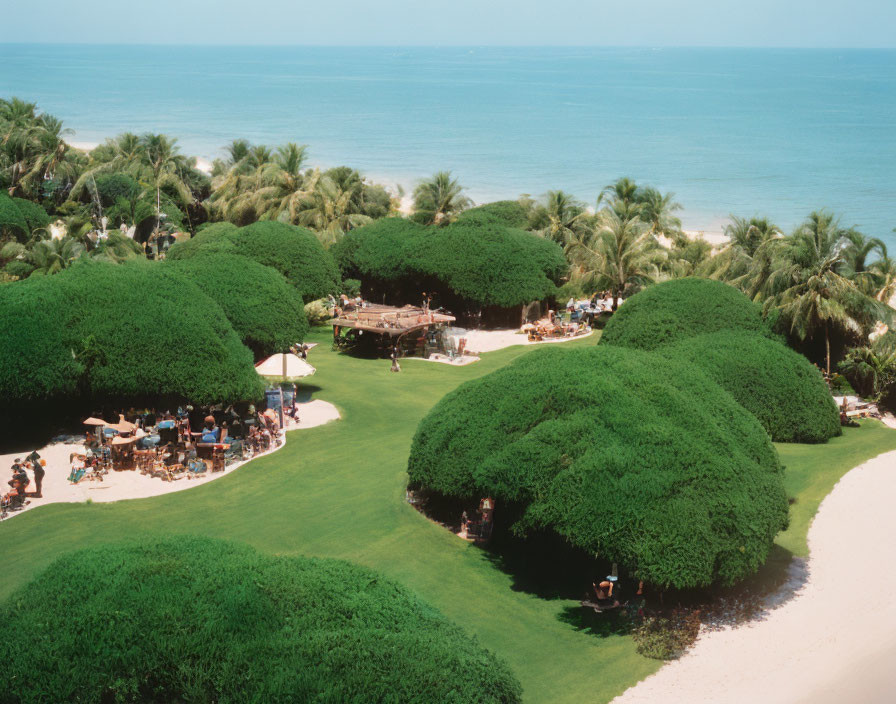 Dome-shaped tropical beach resort with lush greenery and ocean view