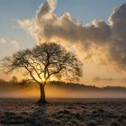 Surreal landscape with lone tree, trumpet-like structures, birds, dramatic twilight sky