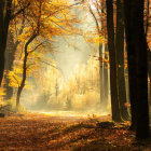 Vibrant autumn forest scene with river, sailboats, and peacocks