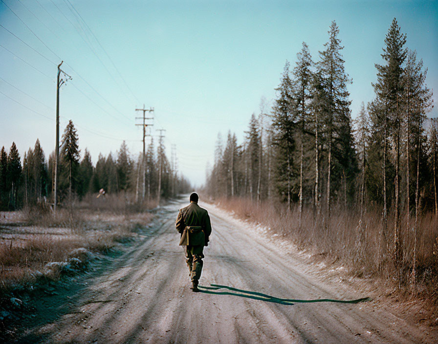 Solitary figure walking on empty road with woods and utility poles.