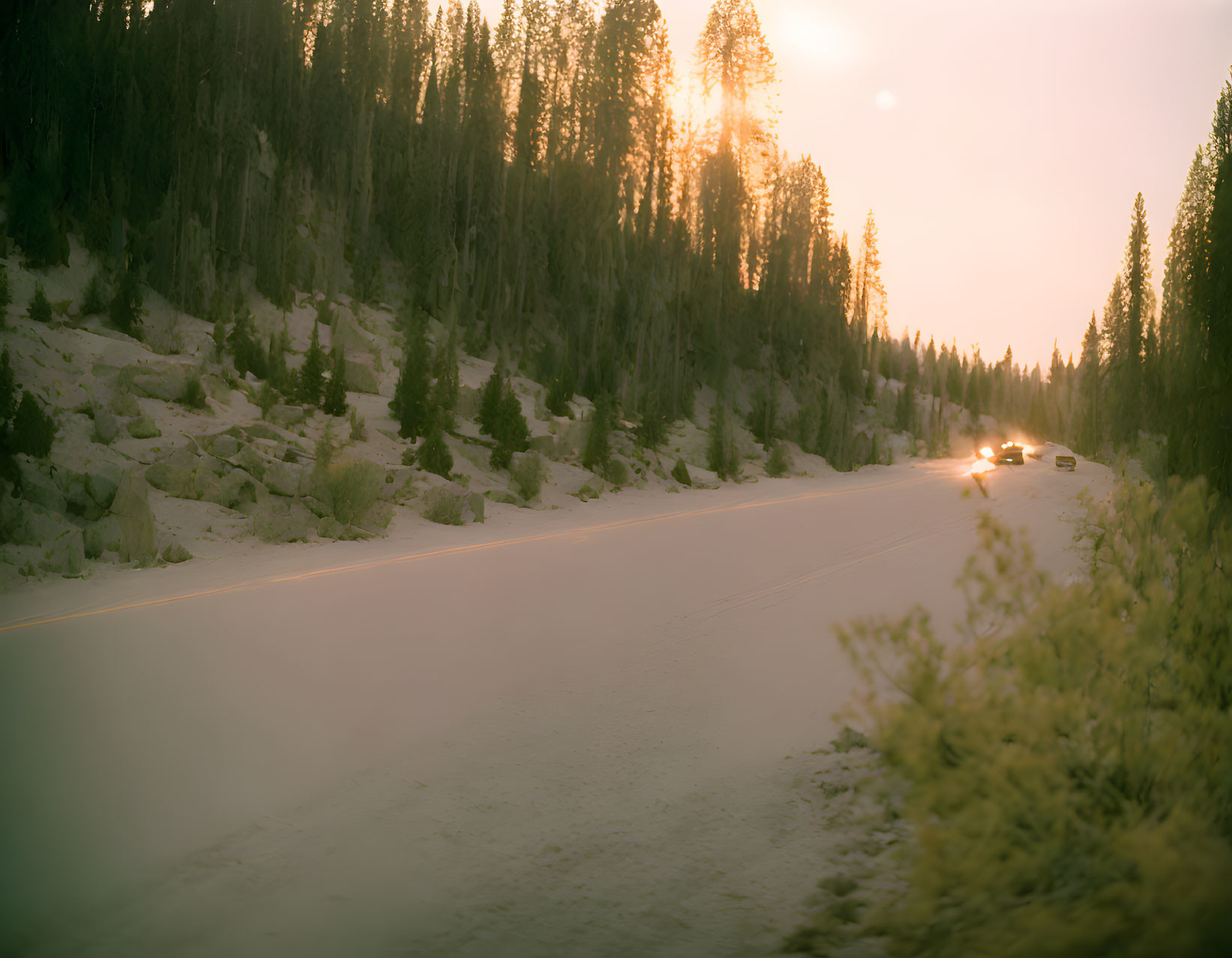 Forest road at dusk with pine trees, car headlights, and hazy sunset sky.