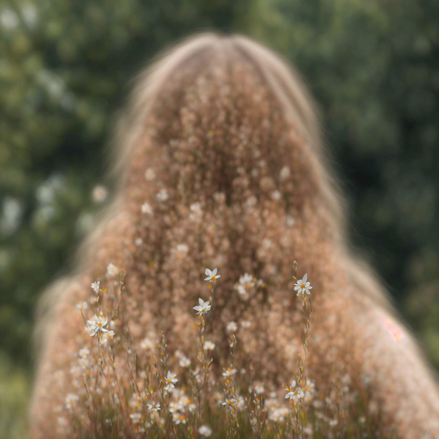 Person with Long Hair Blending in White Flowers and Green Field