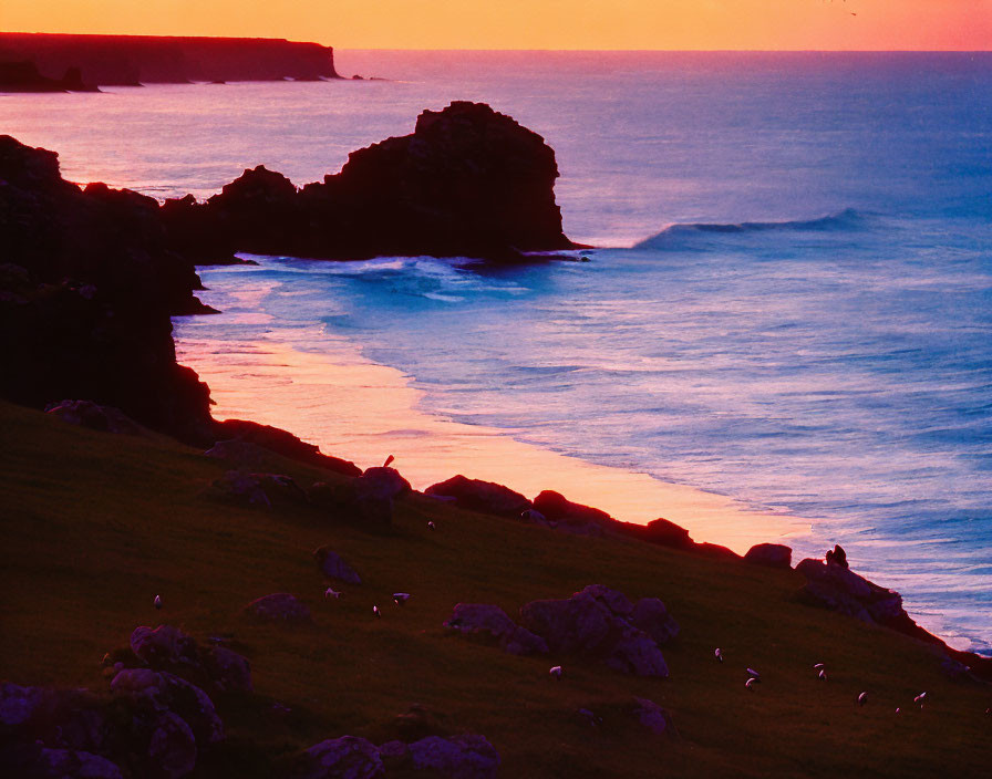 Scenic sunset over coastline with cliffs, calm sea, and birds on grassy slope