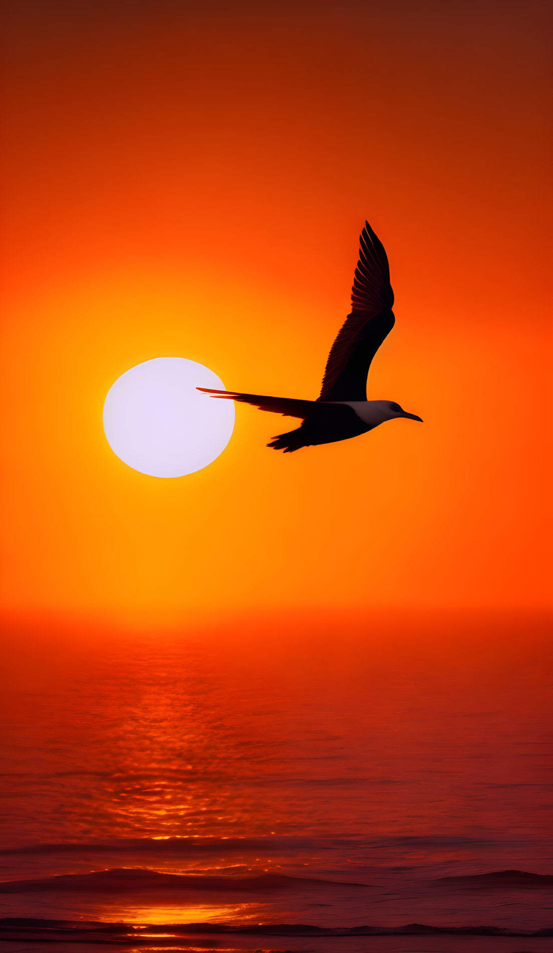 Bird silhouette flying against orange sunset sky and calm sea horizon