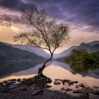 Surreal landscape with fiery sky, lone tree, vibrant foliage, rolling hills, and peaceful river