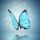 Blue butterfly on water surrounded by smaller butterflies in soft blue background