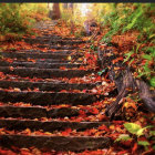 Tranquil autumn forest staircase in warm sunlight