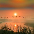 Tranquil sunset beach scene with golden sky and flying seagulls