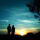 Silhouetted couple against vibrant sunset sky with flying birds and lone tree on cliff