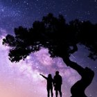 Silhouette of couple under tree at twilight with stars.