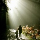 Adult and child walking in a sunlit forest with long shadows and yellow bushes