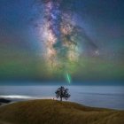 Tranquil lake scene with solitary tree under starry night sky